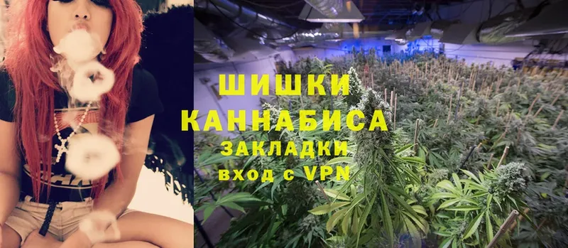 Канабис SATIVA & INDICA  Жуковка 